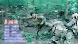 抖音热播DJ版《英雄泪》,配上吴京精彩演绎,这才是真正的英雄