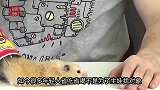 心爱的小仓鼠饿扁了一动不动，小伙欲料理后事，捧起后如释重负！