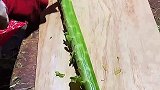 莴笋这样去皮，长见识了