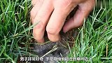 男子意外发现一块草坪会动，打开后发现意外惊喜真是太可爱了