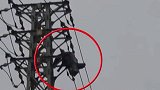 男子爬高压电塔摘马蜂窝被电击 半身挂在空中摇摇欲坠