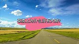 草原那么大，为什么没有一棵大树呢