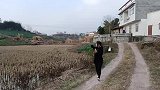 搞笑剧：农村荒废的土地，村花要全部种起来，粮食是我们生存之本