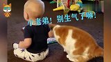 宝宝生气不搭理小猫了，下一秒小猫的举动，看完不许笑