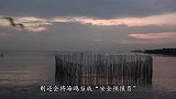 海鸥抓住兔子将其一口吞下，丝毫没有停顿，看得我大气都不敢喘
