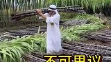 中东富豪体验生活，不可思议