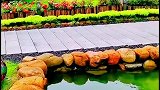 山青水绿风景宜人