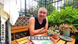 城市家庭垃圾：果皮果核、酸奶杯、过期鲜奶，变废为宝妙招分享