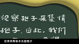 虫虫计划：核桃爷爷受到表扬了，他好开心，马达可真会办事呀