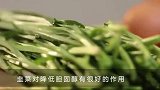 坚持每天炒菜放点它，清理血液垃圾，胆固醇也跟着降下来