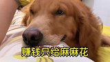 你已经长大了，要懂得如何感恩了～