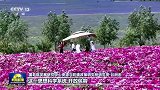 新思想引领新征程丨加快建设人与自然和谐共生的美丽中国