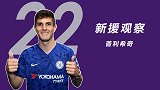 《新援观察》第3期：阿扎尔替代品？蓝军新核普利希奇