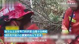 女子上山挖笋摔断腿，消防合力抬下山