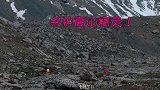 守护高山精灵！井柏然连续两年上山寻找雪豹，为公益贡献力量