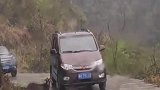 万物皆有灵性，看到雨里山路上的一幕，司机师傅们忍不住停下了车