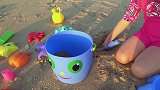 萌娃小可爱在沙滩玩的可开心了！小家伙真是萌萌哒！