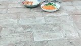 公鸡：老婆们快来，这里有好吃的！