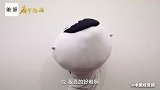 工作催婚生娃，亲戚们每年一次的关怀三连你收到了吗？