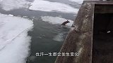 雪地上被拖出一条路，男子以为是动物捕猎，上前一看