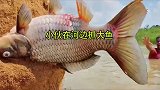 小伙掉进深坑里面，没想到因祸得福抓到满满一盆鱼