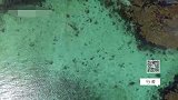 这里的罗弗敦群岛中，气候严寒人烟稀少，却风景如画