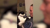 小猫咪在洗衣机里，在里面跑着转滚筒，是要在这里健身吗