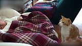 对于新生的宝宝，猫咪忍不住非要动一下，真是太好奇了！