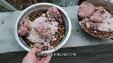 两只狗狗性格差异大，拉拉吃饭没规矩，今天得严厉教育一下