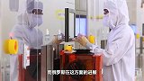 俄罗斯芯片几乎一片空白，为何从不怕被卡脖子？网友：值得学习！