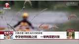 中学老师划船上班 一举两得更环保