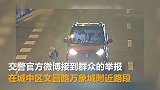 柳州一女子市区龟速开车遛狗 交警约谈吃罚单