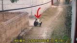 两个女人的争吵，一切来源于两棵月季花！