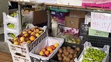 网友买水果偶遇猫老板