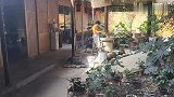 美女即兴在终南山小院里演奏音乐，配着鸟语花香意境就是不一样！