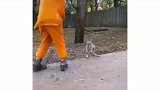 治愈系这也太可爱了吧！还有育儿袋！