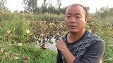 自制窝料打窝，七星漂下钩，一秒不到就送漂