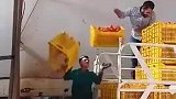 一顿操作猛如虎，这是在干什么