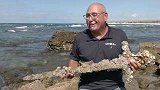 地中海捞起约千年铁剑，已长满贝壳成“剑状石”