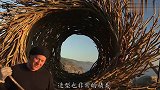 外国人发财之道，用树枝搭建两层楼高“鸟巢”，住一晚700元