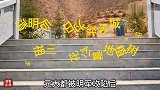 清明后五日为我金城杨氏先祖三不花公墓地植树