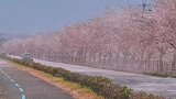 我想我会开始想念你
