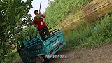 老妈家杏子熟了，胖妹吃不完兜着走，还做8个饼，填饱肚子好开心