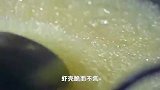 10秒就能完成这道年夜菜！油爆河虾，脆而不焦，一口一个！