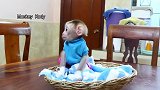 小猴科迪被爱和幸福包围，科迪最喜欢做宠物猴了