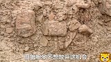 努比亚羱羊，小羊怎么是老谋深算，狼的对手，飞檐走壁也不行