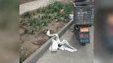 北京一六旬大爷高空扔消防水带受审：我60多了 蹲不起监狱