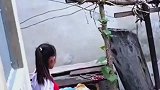 小女孩放学回家后逗狗狗，一句话让修狗一脸懵