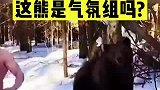 这熊是气氛组的吗