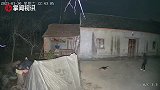 大半夜院子里的狗不停叫唤 女子惊醒调取监控后被眼前画面吓坏